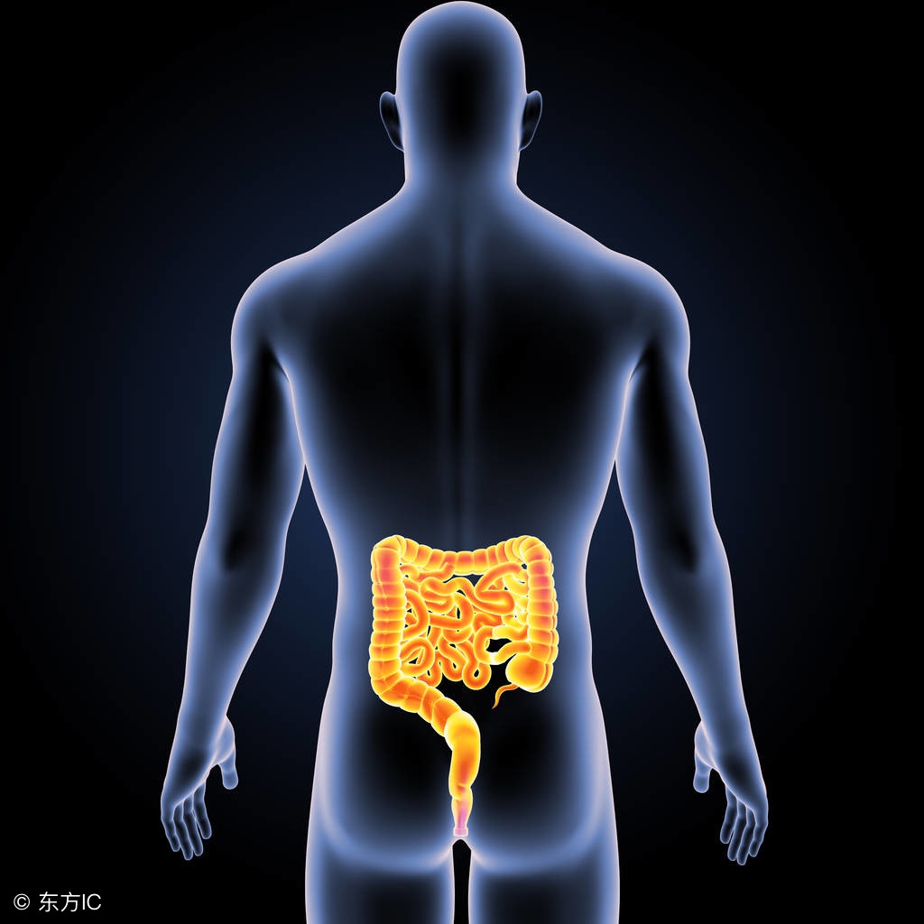 检查肠梗阻需要灌肠吗,检查是不是肠梗阻做什么检查