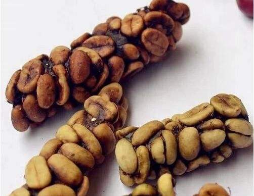 猫屎咖啡为什么昂贵,猫屎咖啡背后的残酷真相