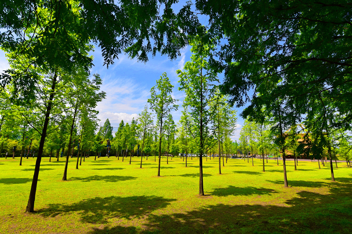 韩国公认最好看的韩剧,韩国最好看的电视剧排行榜第一名