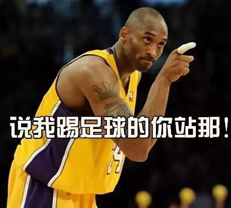 世界杯球迷观赛指南最新,伪球迷的观赛指南