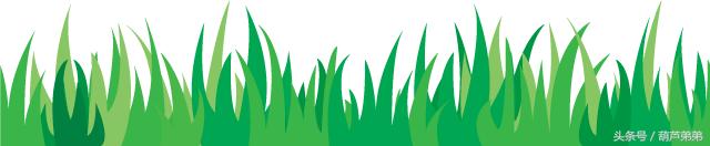 世界杯足球立体书,世界杯知识书