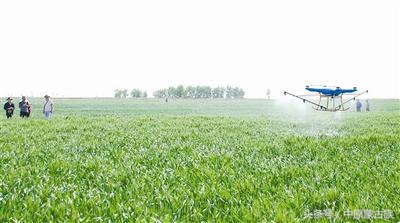 新疆农六师芳草湖总场,新疆农六师芳草湖