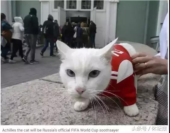 世界杯今晚揭幕,8大看点了解一下?