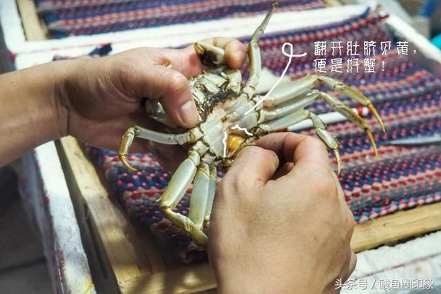 端午节吃什么海鲜比较好,端午海鲜如何选