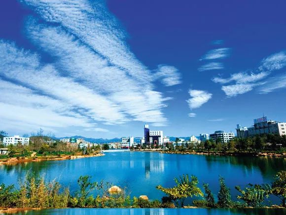 两公布一提示|端午情浓玉溪交警为你送上“平安粽”