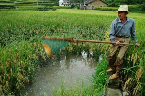 打工想发财有什么门路,一个年轻人的致富思维