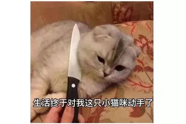 包教包会技巧视频,包教包会的技巧