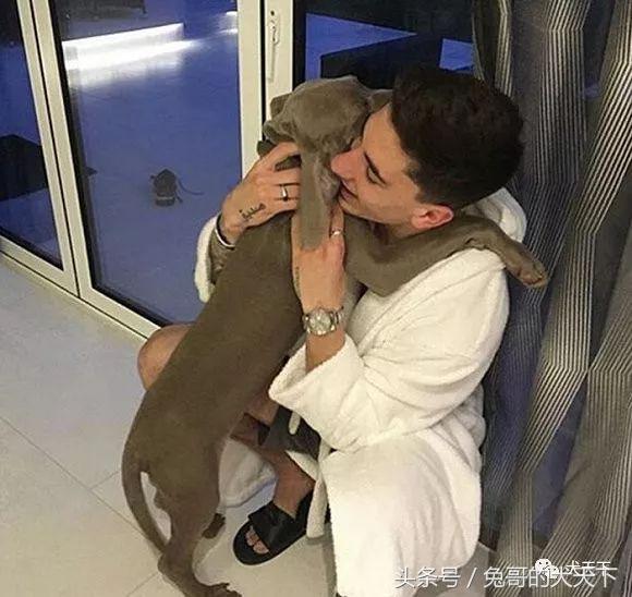 足球吉祥物狗狗盘点,一只狗狗拯救了无数人