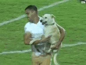 足球吉祥物狗狗盘点,一只狗狗拯救了无数人