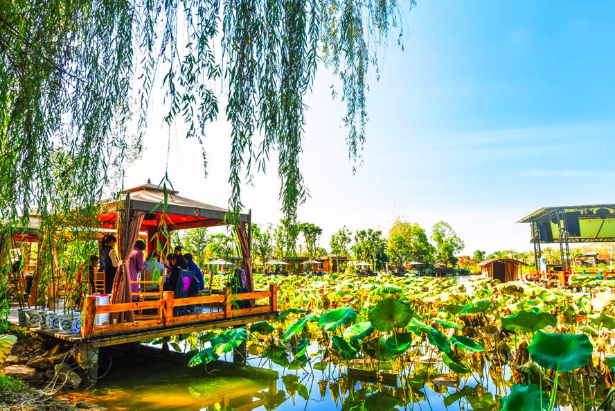 成都沸腾小镇繁花似锦,成都天府新区沸腾小镇