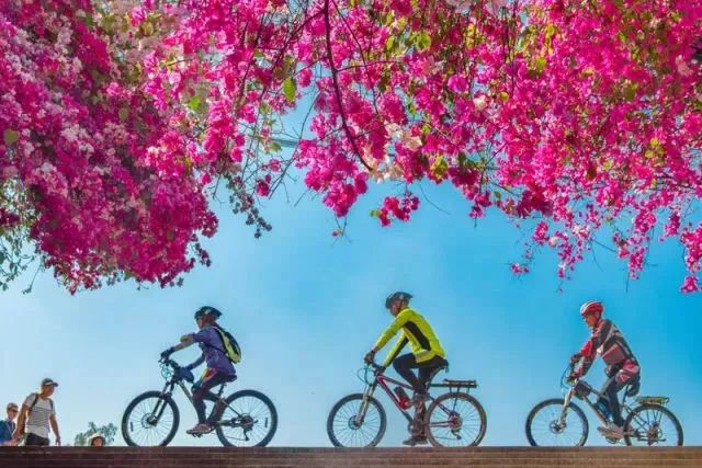 新华社攀枝花,新华社三亚