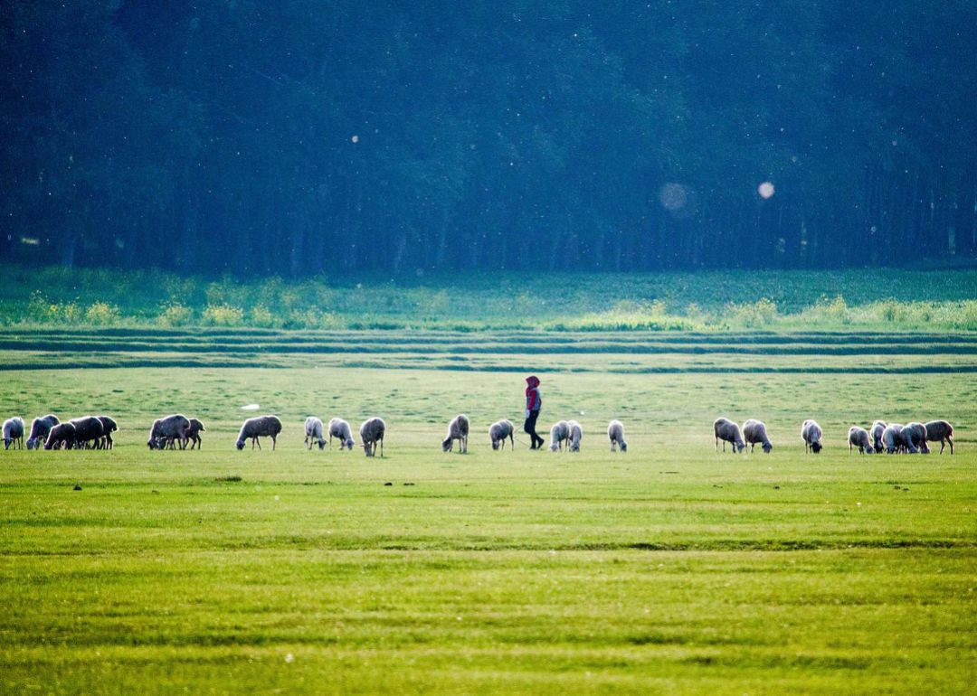 12月份出国亲子游,出国亲子游哪些国家合适