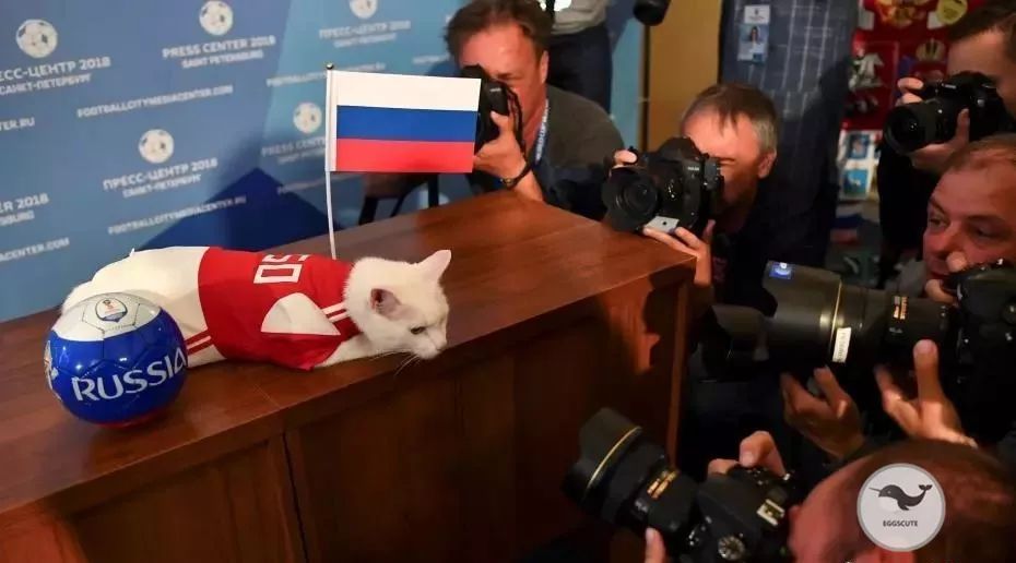 世界杯大幕拉开,世界杯开幕式精彩回放