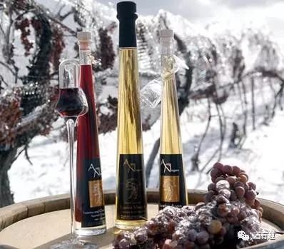 「世界杯来啦」如果把每支球队对应成一支葡萄酒，会是什么样子？