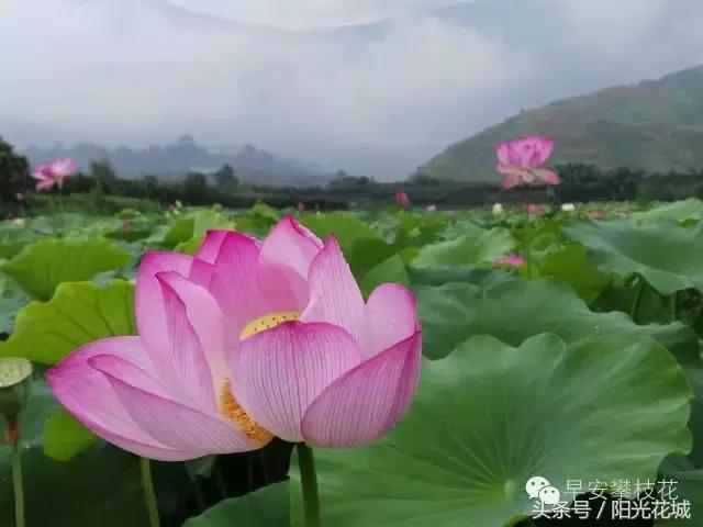 攀枝花周边一日游最佳路线,攀枝花周边有什么好玩的地方