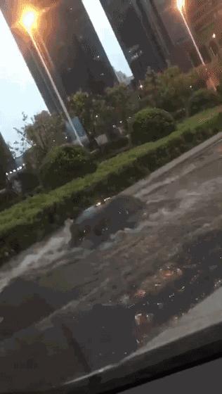 青岛能下海玩吗,青岛下海玩水哪里好