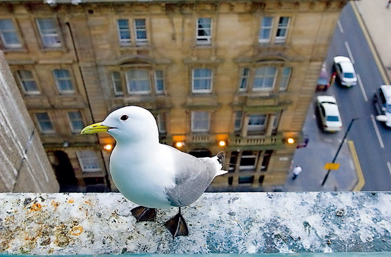 鎯犳儬鎽勫奖浣滃搧娆ｈ祻,鎯犳媿鎽勫奖