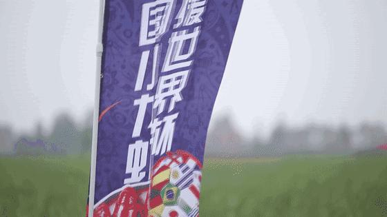 2018世界杯期间，如何正确吃小龙虾？