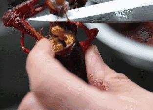 2018世界杯期间，如何正确吃小龙虾？