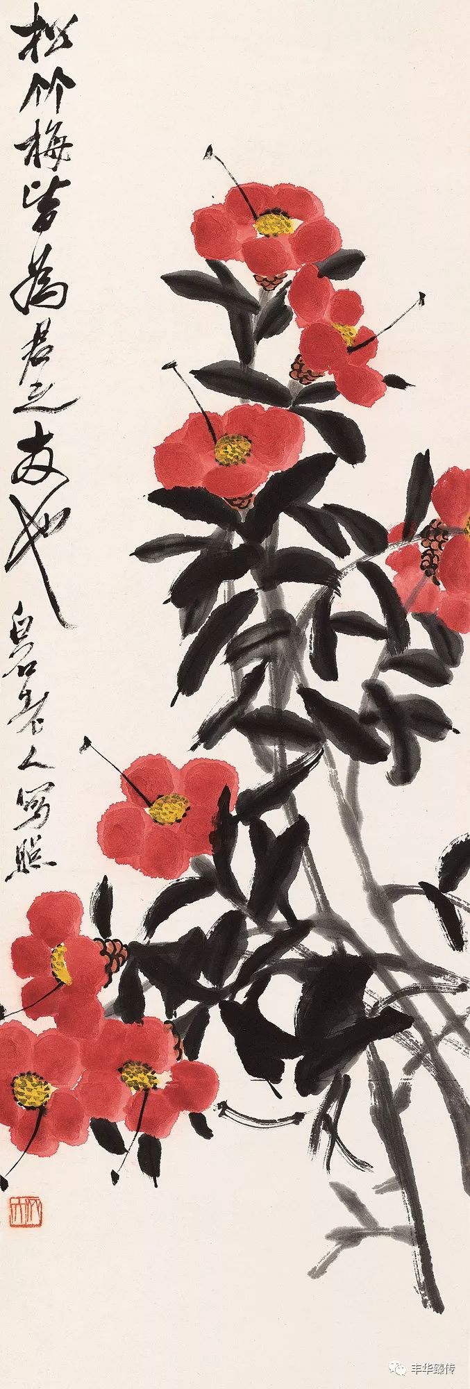 帽哥最新直播回放,帽哥直播回放完整版合集