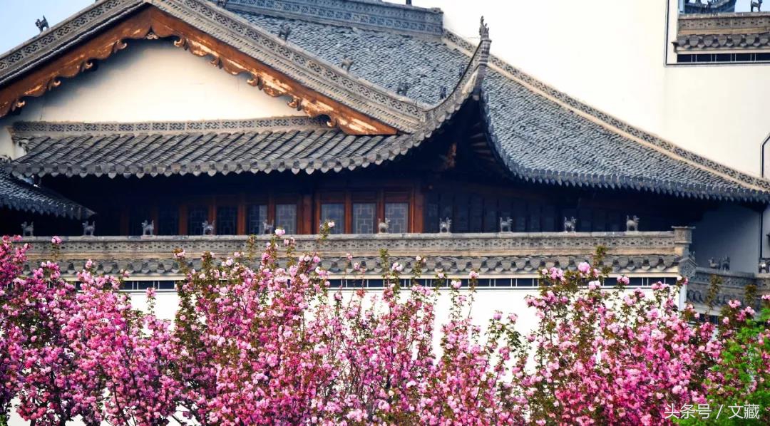 小贝世界杯绝杀厄瓜多尔,世界杯贝克汉姆vs梅西