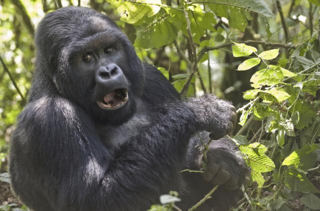 世界上最便宜的公园门票,世界上最好玩的公园门票又便宜