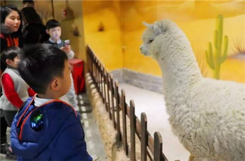 购物中心儿童项目,购物中心儿童体验