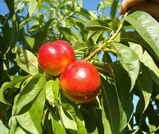 端午去哪玩,端午去哪玩闯关