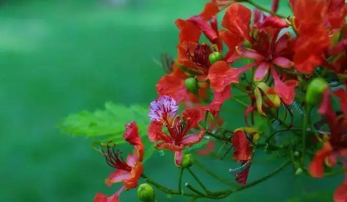 三天两夜1200rmb双人穷游厦门攻略,厦门旅游攻略美食住宿必去