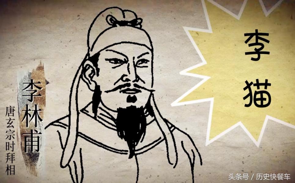 喵星人的变化史,喵星人养猫13年经验分享