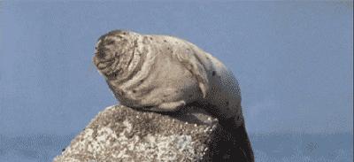 打嗝看出癌症,打嗝要警惕四种病肚子饿也打嗝