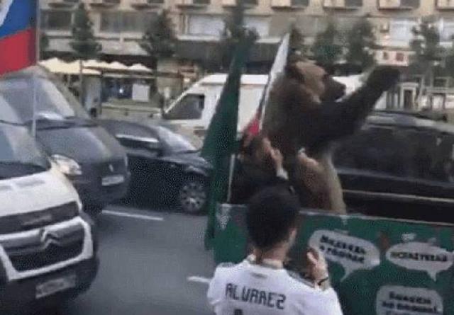 俄罗斯熊搞笑名场面,奇闻趣事之俄罗斯