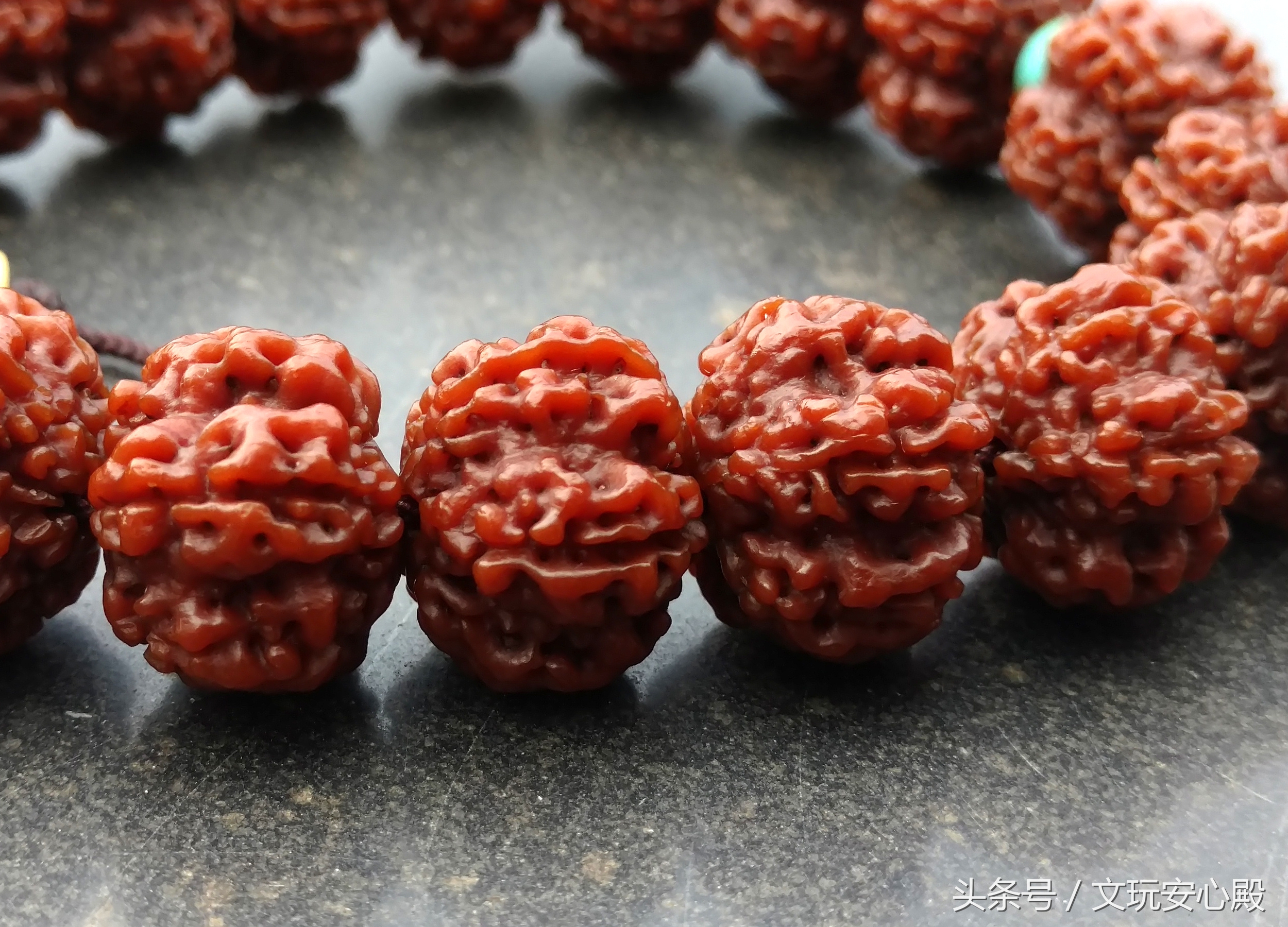 金刚菩提正确的盘玩方式,金刚菩提一年四季的盘玩效果