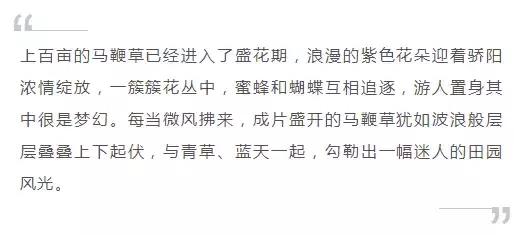 义乌游玩好去处义乌海洋世界,义乌五一亲子游推荐水上乐园