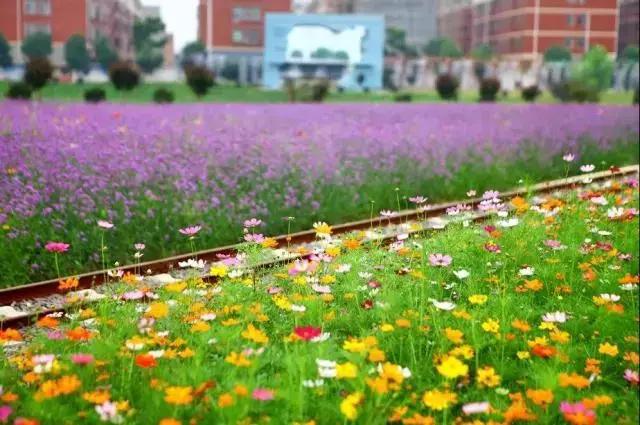 义乌游玩好去处义乌海洋世界,义乌五一亲子游推荐水上乐园