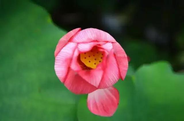 义乌游玩好去处义乌海洋世界,义乌五一亲子游推荐水上乐园