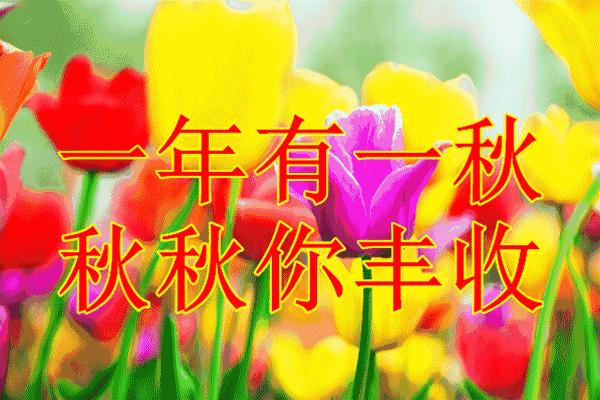 父亲节祝天下的父亲安康吉祥,父亲节愿天下的父亲平安