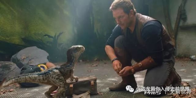 《侏罗纪世界2》所有恐龙的名字,侏罗纪世界2里面所有的恐龙名字