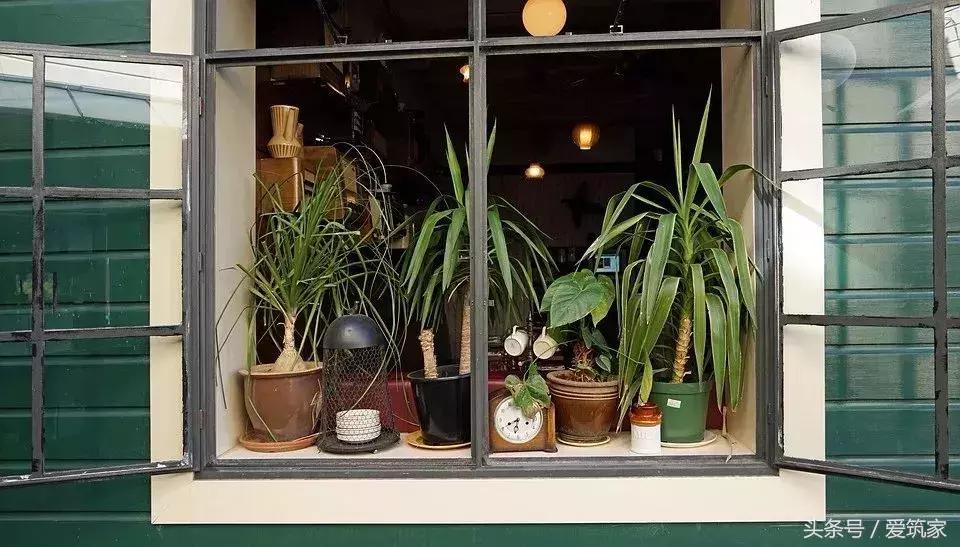 卫生间装修后去除甲醛,装修甲醛最佳去除方法