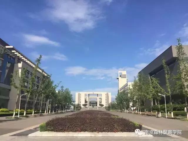 你看起来像我战友这本招生秘笈送你了!(附五所公安院校招考计划)