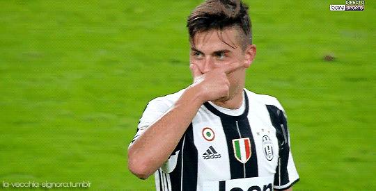 世界杯肉肉的仙人球,世界杯金肉肉