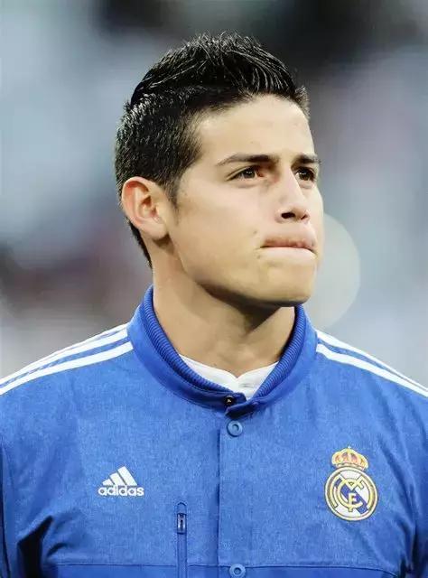 世界杯肉肉的仙人球,世界杯金肉肉