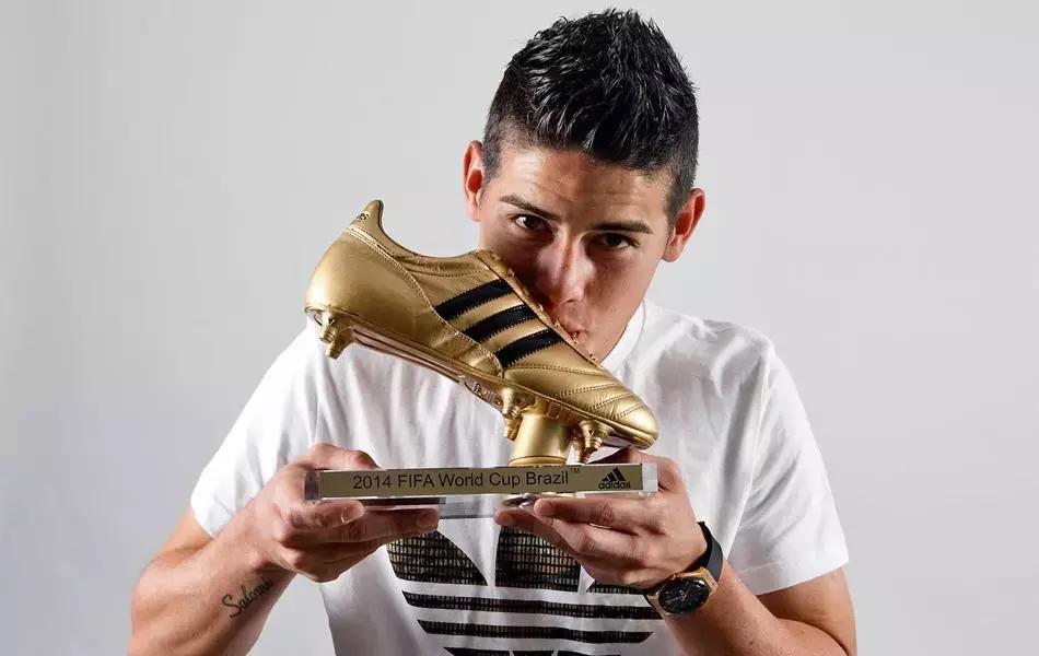 世界杯肉肉的仙人球,世界杯胖嘟嘟