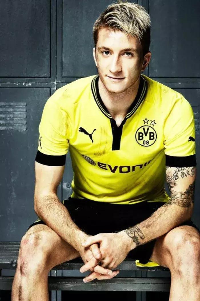 世界杯肉肉的仙人球,世界杯胖嘟嘟