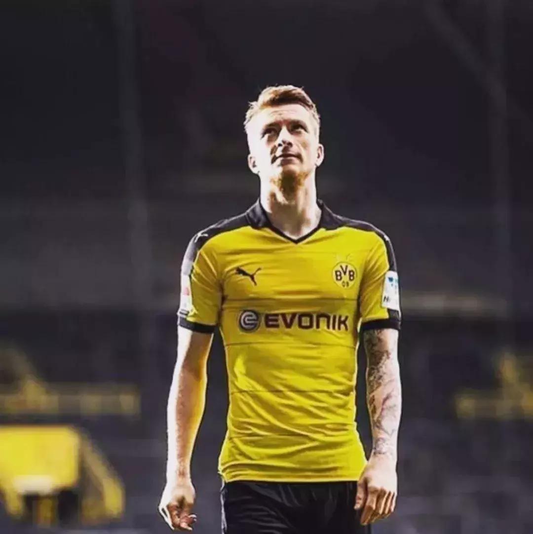 世界杯肉肉的仙人球,世界杯金肉肉