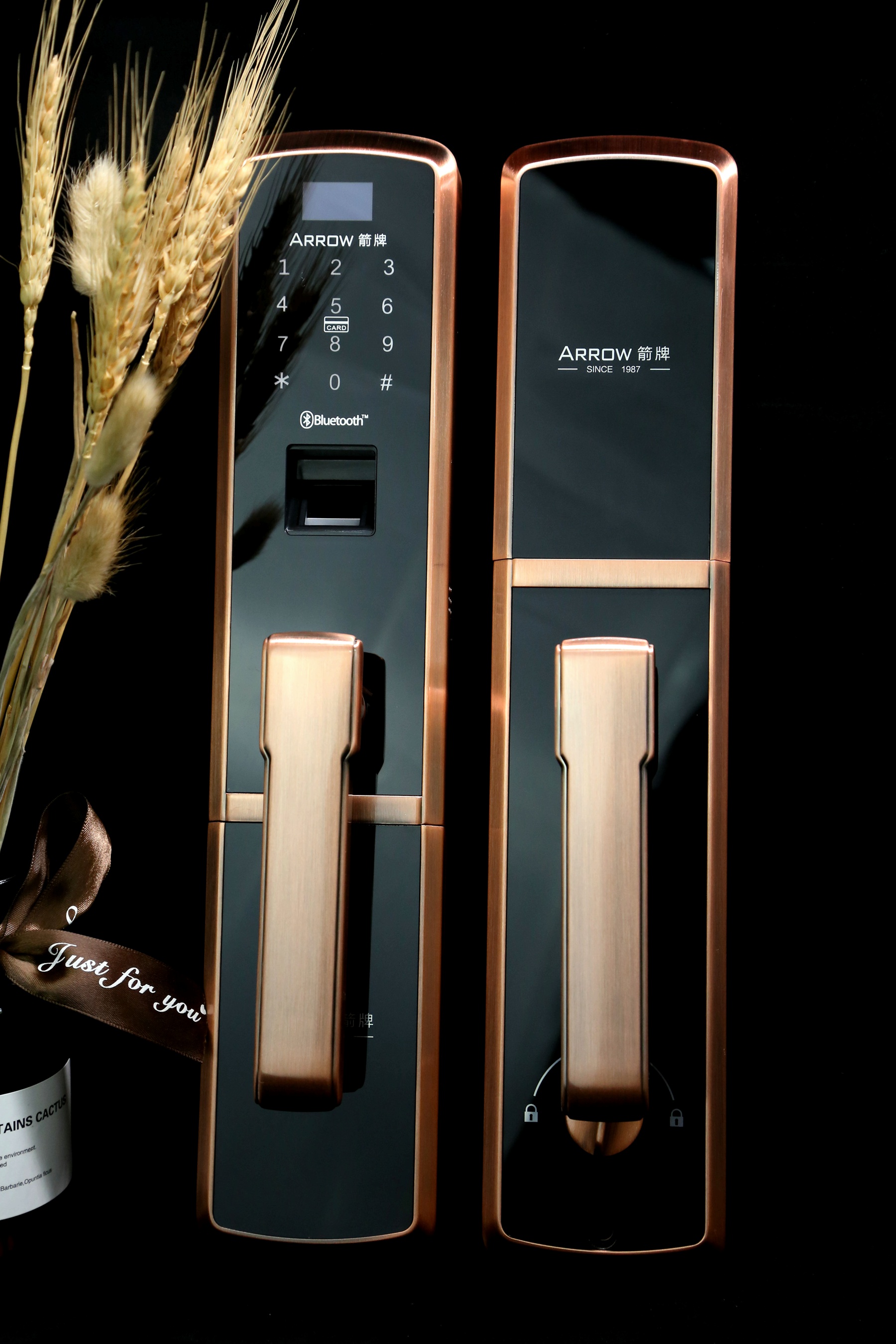 箭牌arrowa9指纹锁,arrow箭牌指纹锁