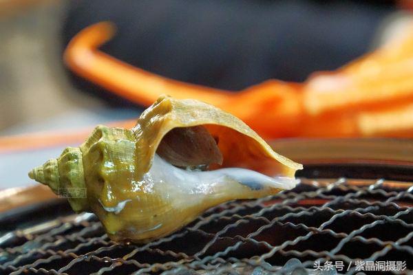 日本北海道函馆朝市美食,北海道函馆朝市美食