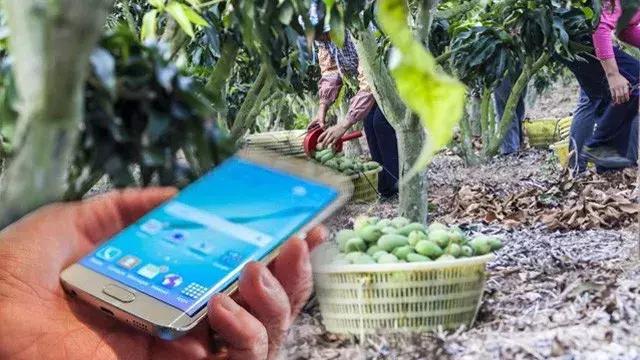 「秀品抽奖猫」原来可以这样用