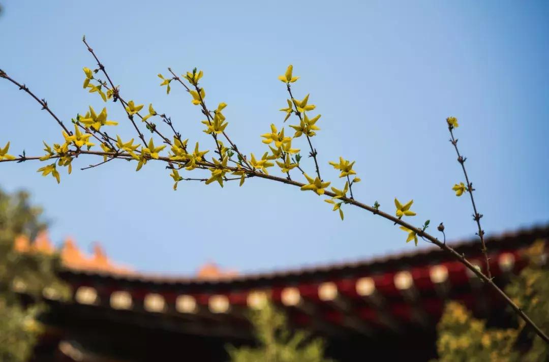 超级英雄父亲节礼物,父亲节超级英雄
