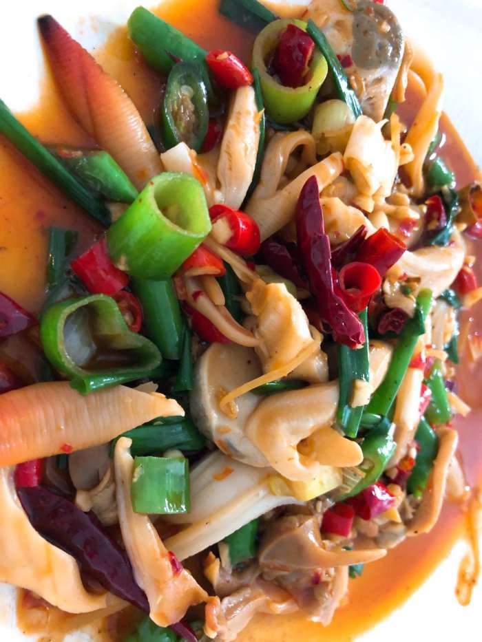 旅行结婚,结婚旅行适合去哪